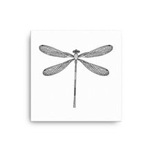 Load image into Gallery viewer, Dragonfly Canvas