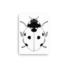 Load image into Gallery viewer, Ladybug Canvas