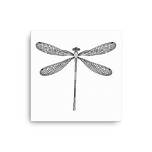 Load image into Gallery viewer, Dragonfly Canvas
