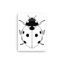 Load image into Gallery viewer, Ladybug Canvas

