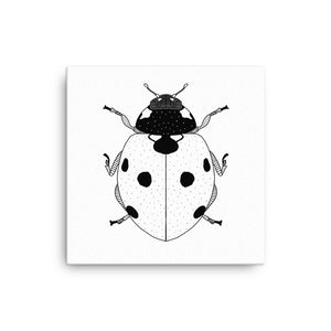 Ladybug Canvas